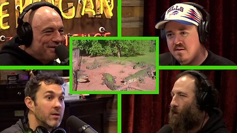 The Protect Our Parks Guys Watch Crocodile Encounters and Cat Fight Videos JRE Podcast