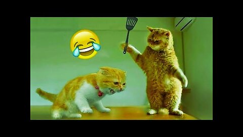 Funny Animals cute videos 😀🤪🤗😁😅