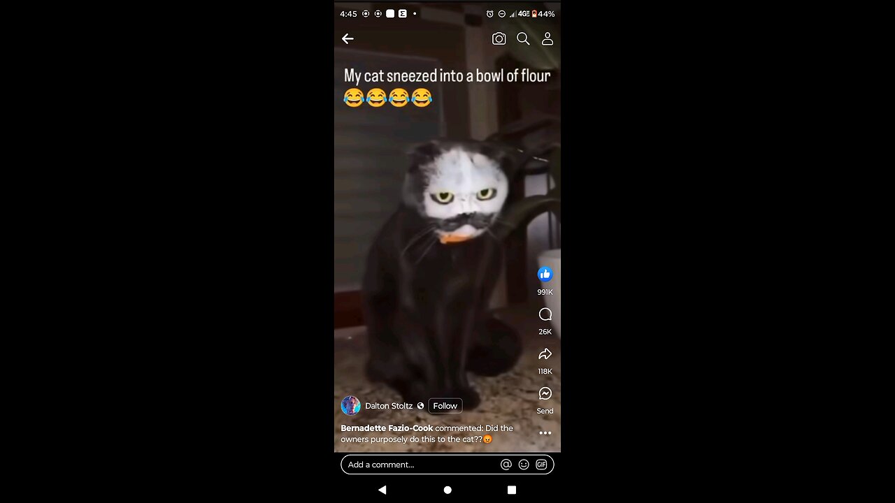 the cat is creepy as fuck with powder on its face