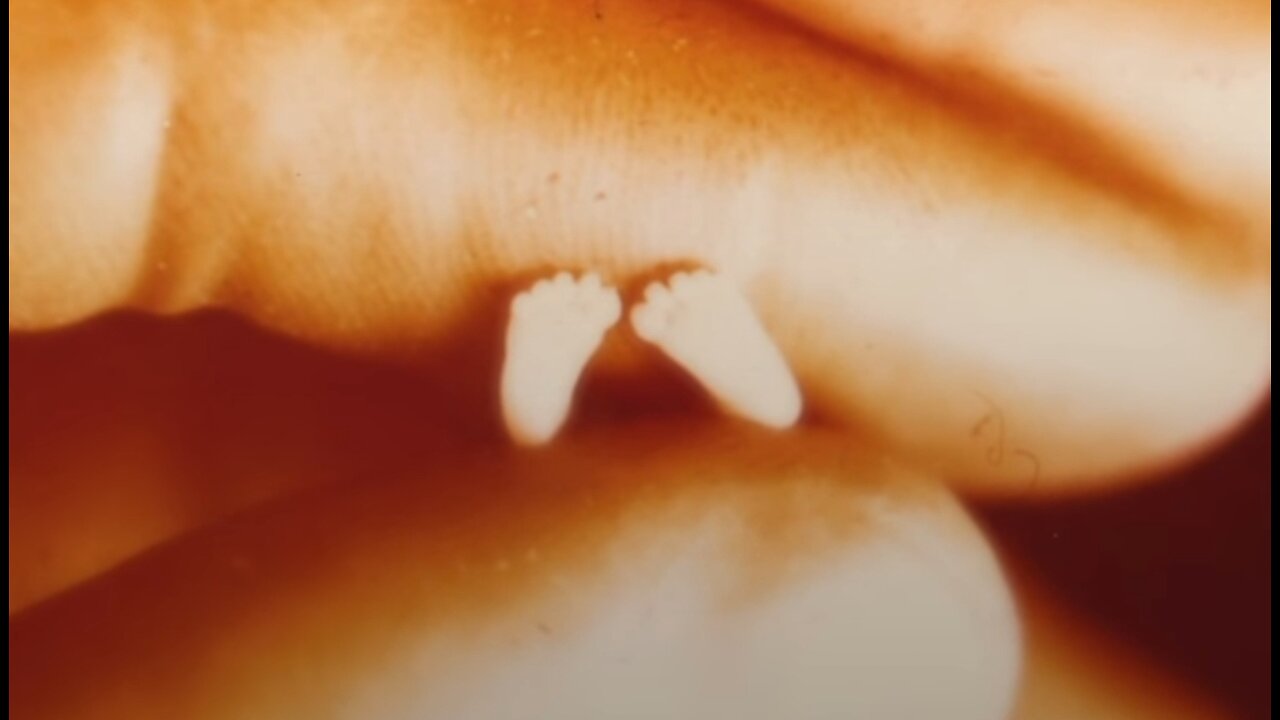 2229. "Precious Feet" (Please💖Comment)