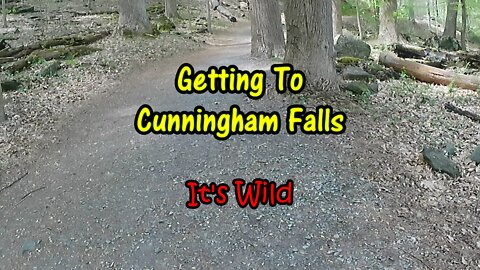 Getting To The Falls
