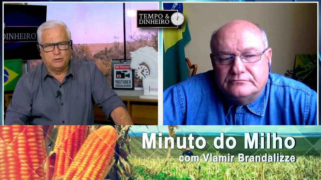 Milho segue forte na exportação