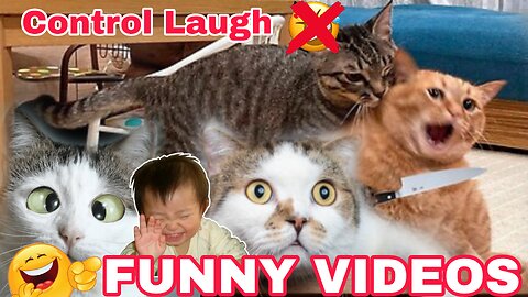 FUNNY CAT VIDEOS 😆🤧😂|CONTROL Laugh 🤫,#Fun,#entertiment,#funnyvides,#viral,#Rumble,#fun,#jokes,