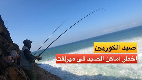 شاهدوا احترافية الرايس علي في صيد سمكة الكوربين .. احد اخطر مصايد العلاوات بميرلفت 😱😱😱