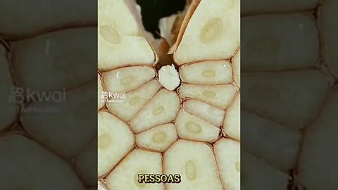 Dicas de Saúde _ Alho