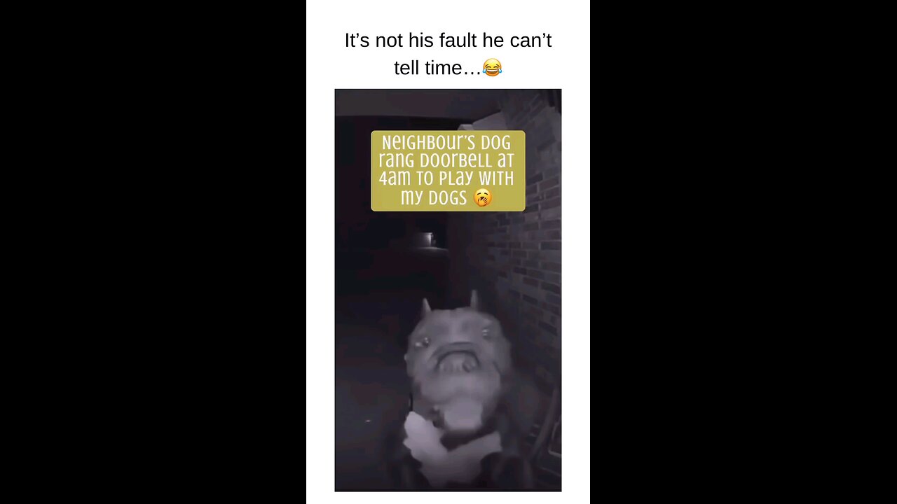 Dog is a menece