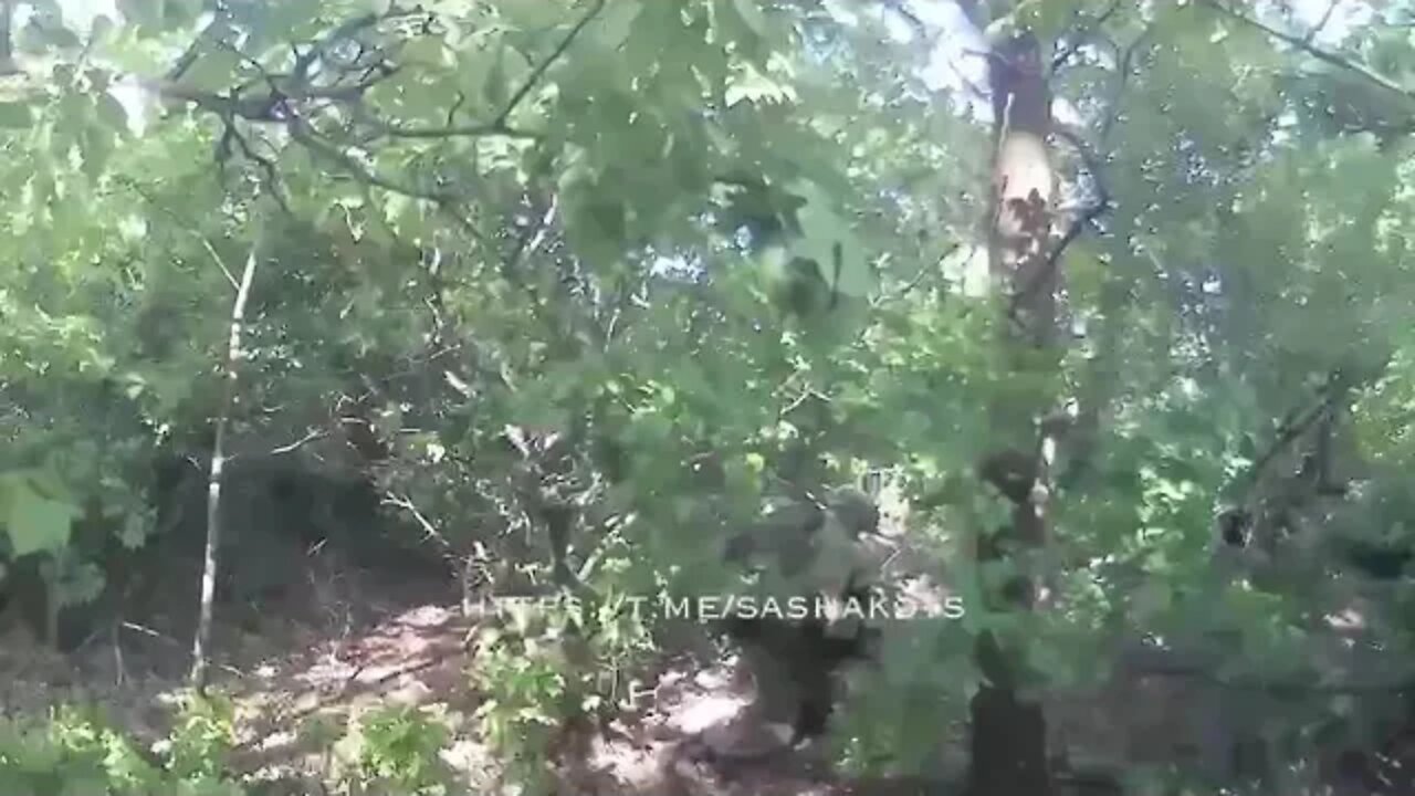 Russian Paratroopers Attacking Ukrainian Positions In The Bakhmut Direction