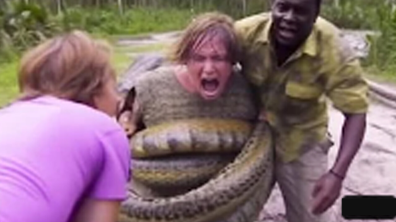 20 Times Snakes Messed With The Wrong Opponents