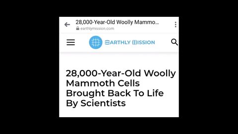 28000 Year Old Mammoth Cells Brought Back To Life Paranormal News