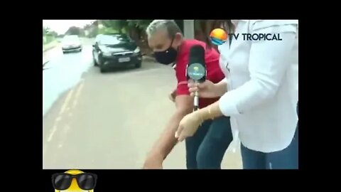 VEJA A CONFUSAO QUE ESSE CACHORRO ARRUMOU NESSA REPORTAGEM ( MEME ) ( VIRAL ) #shorts