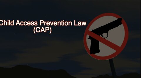 Nevada's Child Access Prevention Law