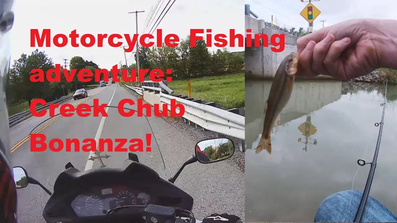 Motorcycle fishing adventure, creek chub close to home