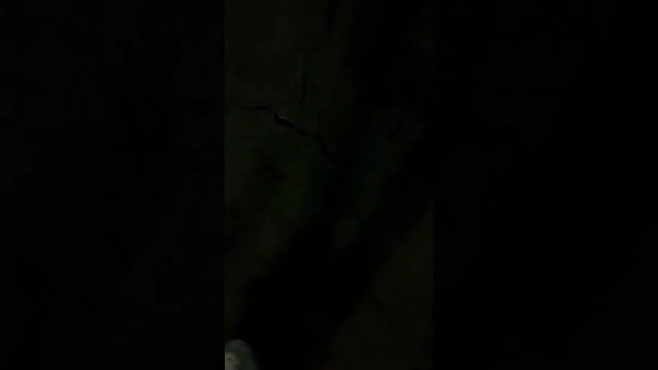 #gangstalking #doordash Lonzo pulls off