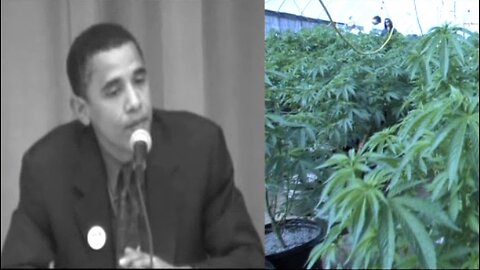 American Drug War 2 - Cannabis Destiny