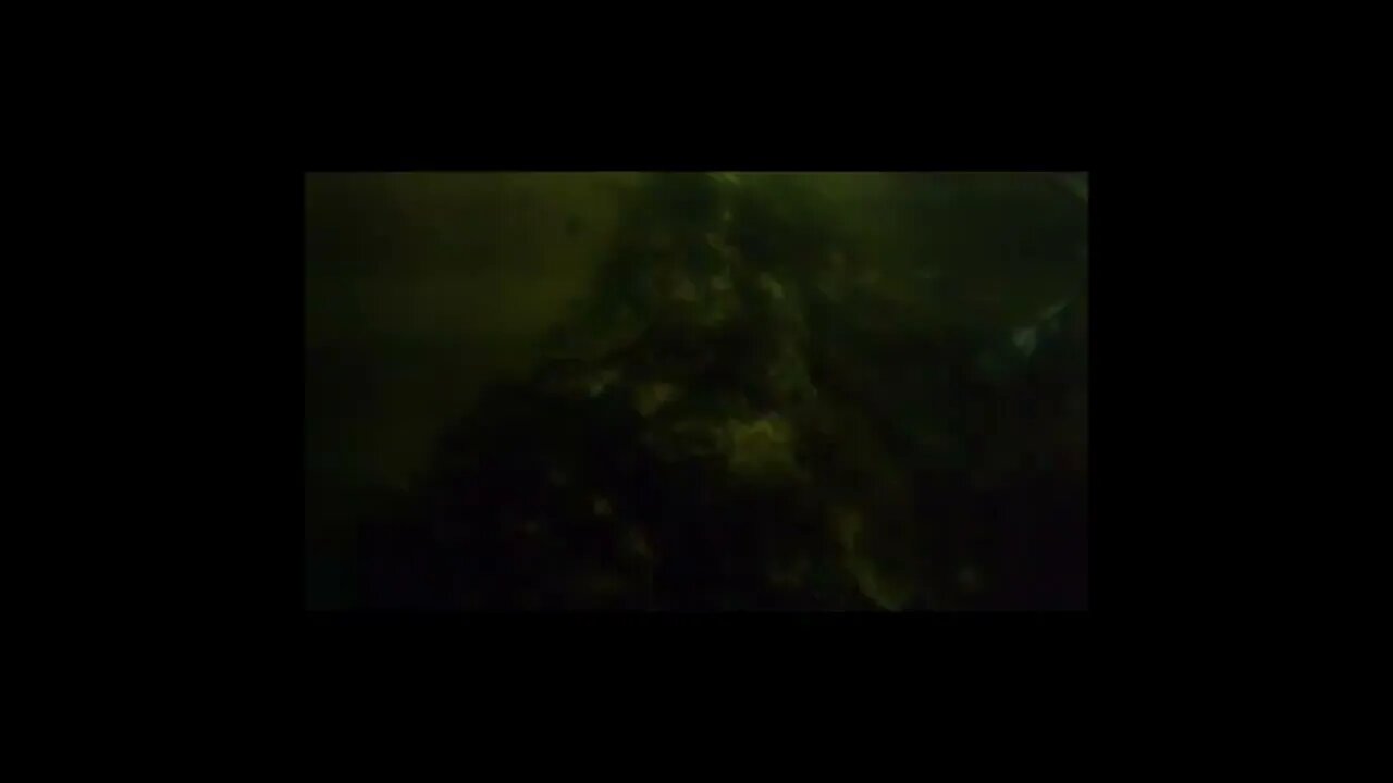 night "fishing"