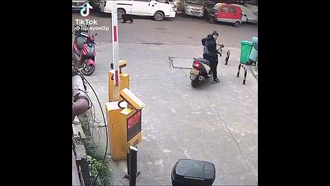 Funny videos