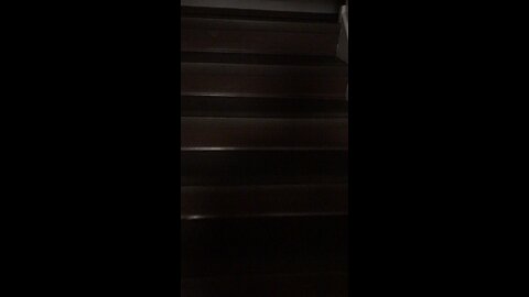 Chef Boy R Dizzy VLOG: #Carolinas 🚘 #July #1 #2023 ⏰🗓