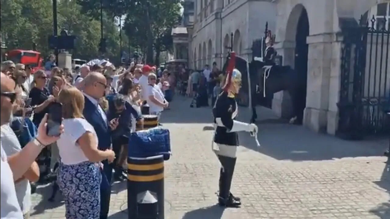 This dog did not like the kings guard stamping his foot #horseguardsparade