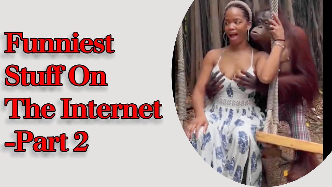 Compilation of the Funniest Stuff On The Internet Part 2 – You Won't Believe These Clips!