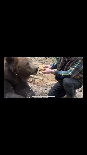 BEAR REFUSES TO EAT McDonalds “ FOOD”…?????