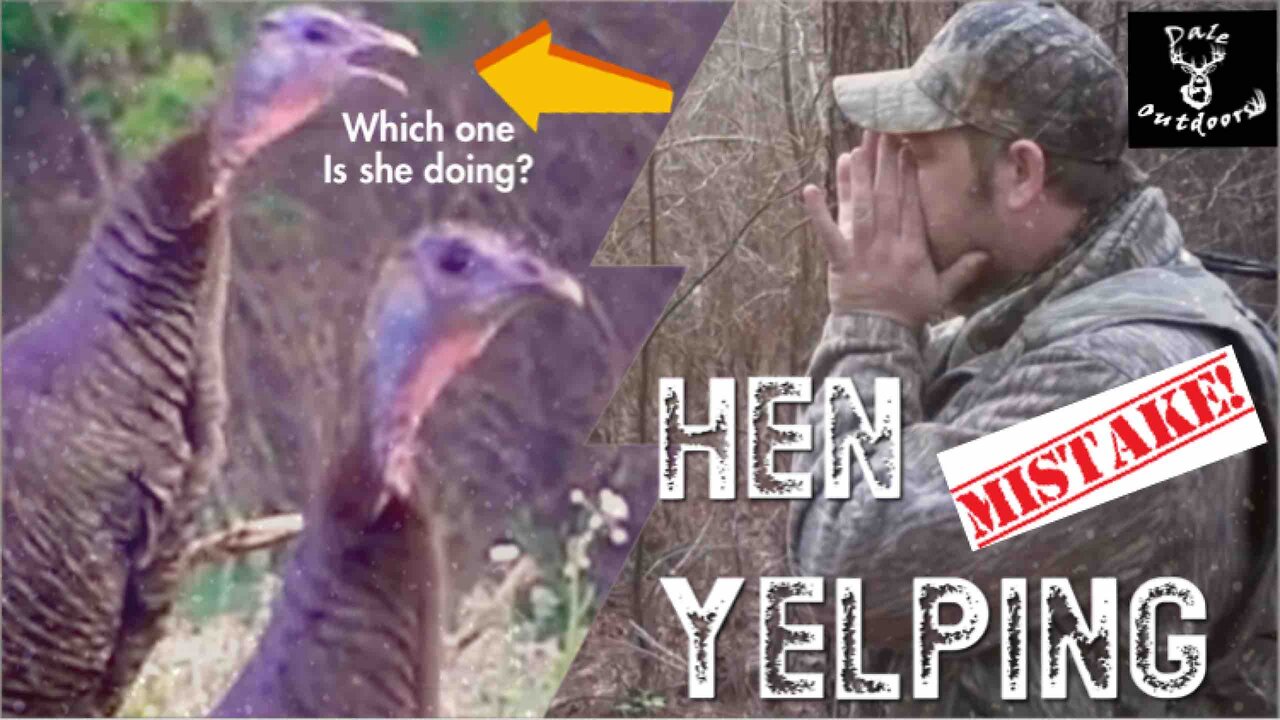 Effective Hen Yelping/ Changing it up