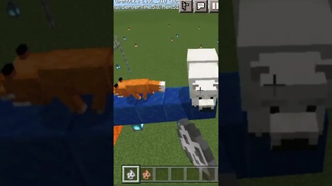 What is the IQ of 🐻 bear and 🦊 fox || #shorts #minecraftpe