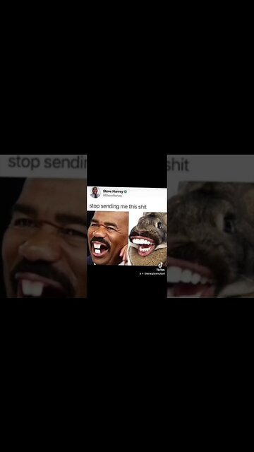 Nice Teeth :3 #vtuber #meme #memes