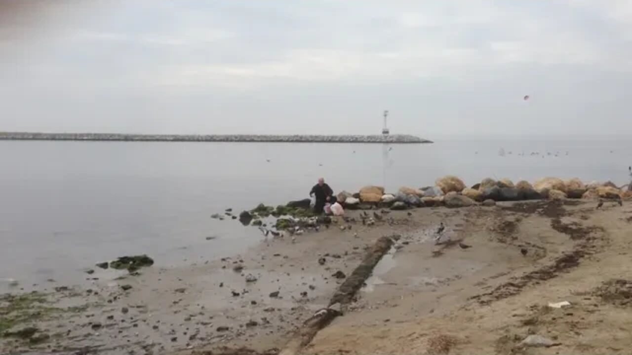 Πλαζ Αρετσούς, Golden Bay Aretsou: Καθαρισμός & Χειμερινοί κολυμβητές