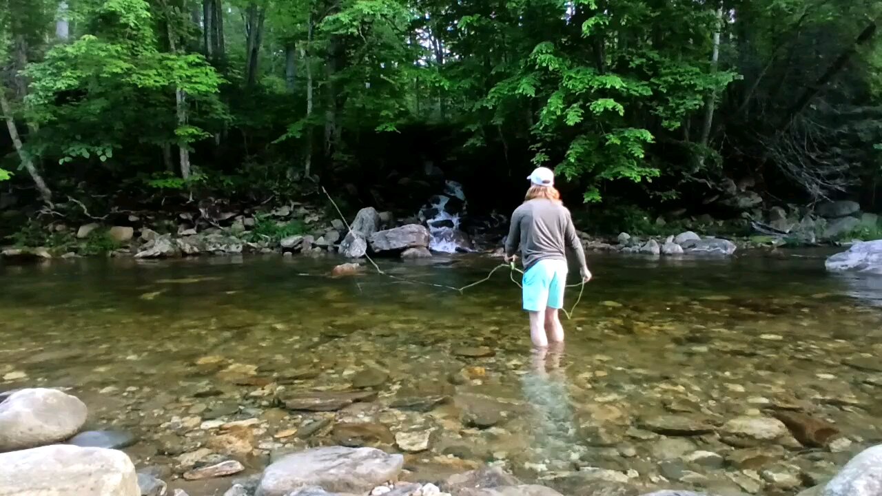 catching browns