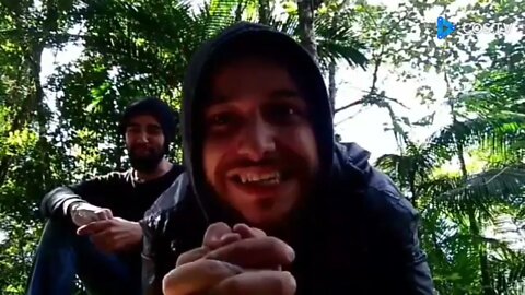 Eu imploro: Me convença que eu estou errado! #BobNavarro