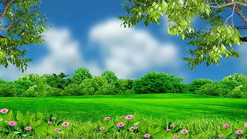 Nature background video effect || landscape background hd