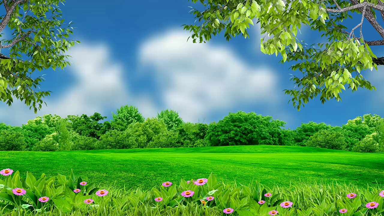 Nature background video effect || landscape background hd