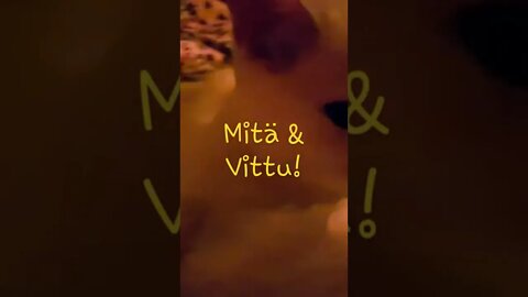 Welcome to Mitä & Vittu aka The Gulu Brothers!!!