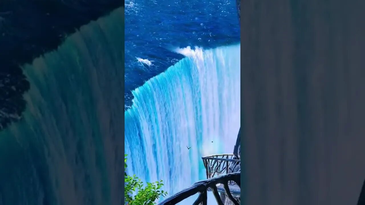 Beautiful Nature Scene Viral and Trending Shorts @1 Million Creation #shorts