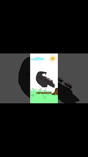 Crows Love Being High 🐜