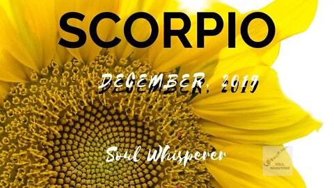 ♏ SCORPIO ♏: Got My Mind On My Money, And My Money On My Mind * December
