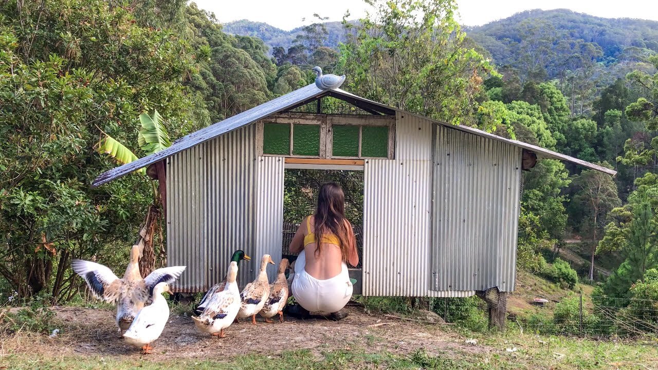 Our Morning Routine: Feeding all the Animals and Cooking a Homegrown Meal Foraged from the Garden