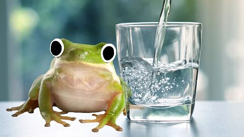 You'll never see a frog drinking from a glass of water!