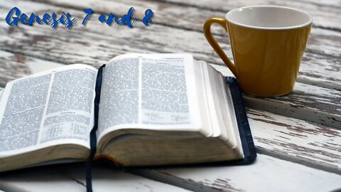 genesis 7 and 8