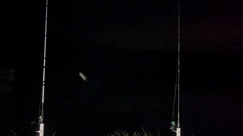 Sleep to the sounds of katydids