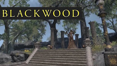 ESO BLACKWOOD - NEW Music OST! (Part 3 - A White Stallion Rampant) Elder Scrolls Online Soundtrack