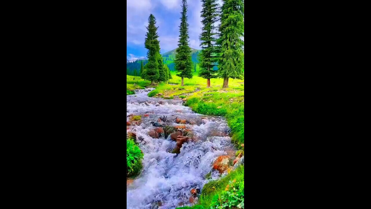 beautiful naturals place