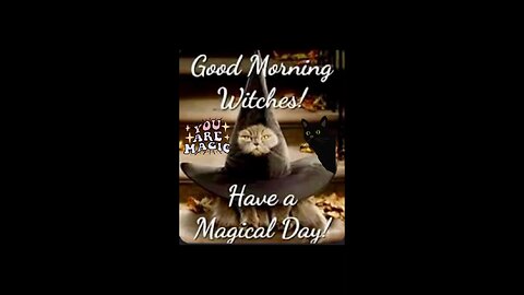 Magical Day!!