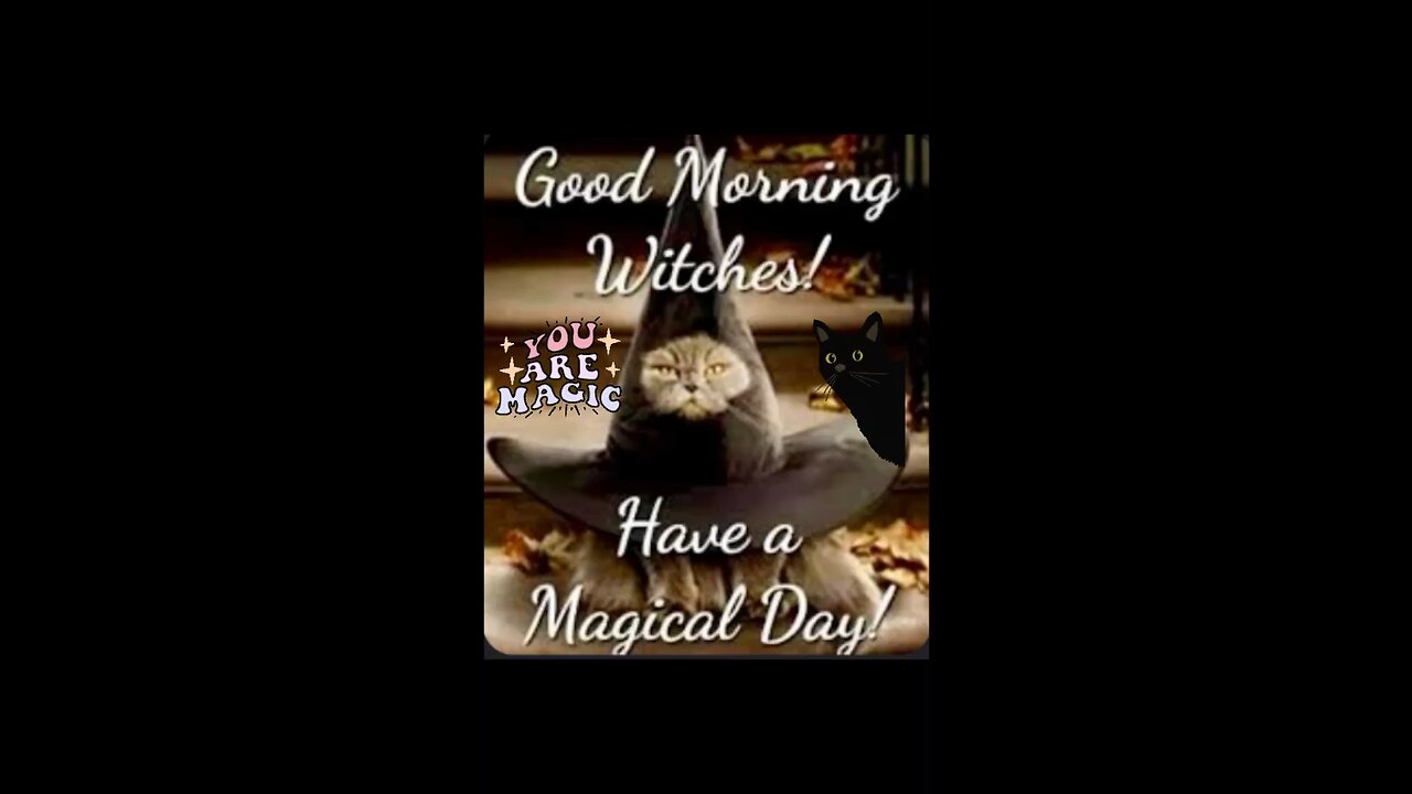 Magical Day!!