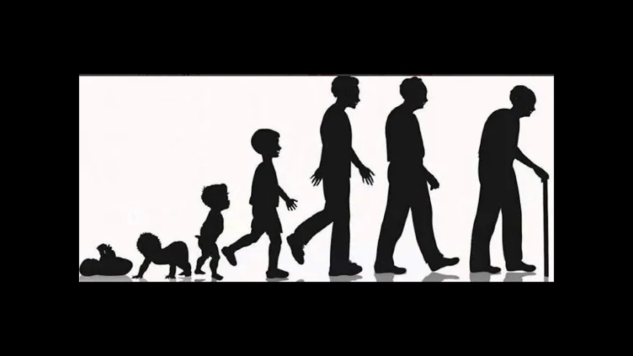 늙는다는건 우주의 일, 조너선 실버타운, 흐르는 모래시계, 복리이자, 은행, 유전자, 후세, 생물, 자손,패러디, 기대수명, 오열젤리, 여왕벌, 장수비결, 교양과학, 진화, 후세