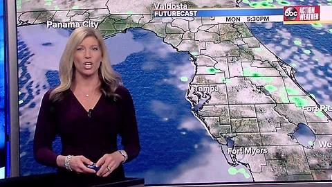 Action Weather Forecast