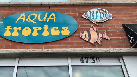 Dropping off fish to AquaTropics 473D Rogers Road Toronto!