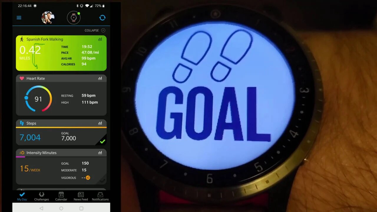 Garmin First Avenger goal notification