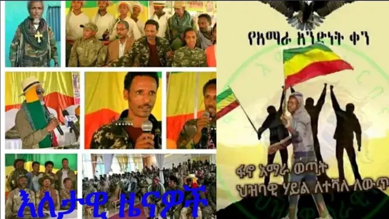 እለታዊ ዜናዎች