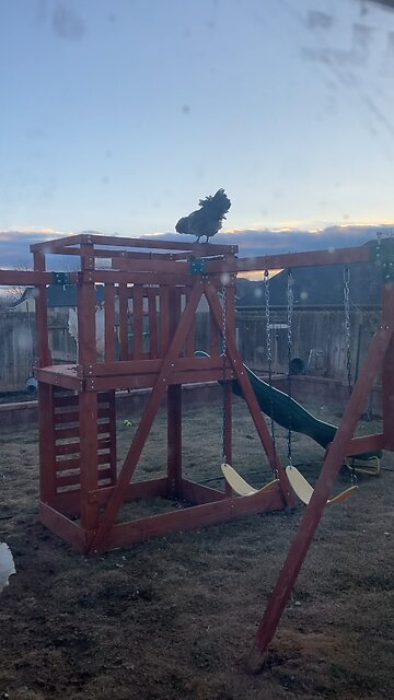 Top of the world Merry Christmas